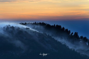 Mist-on-the-Hills_slider_3