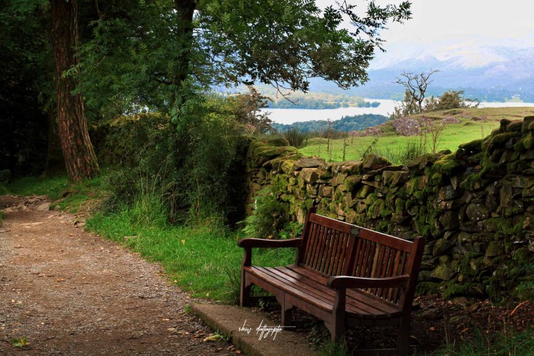 Found this quaint bench on the lake Windermere trail. What a beautiful place to stop, relax, and enjoy the breathtaking view.