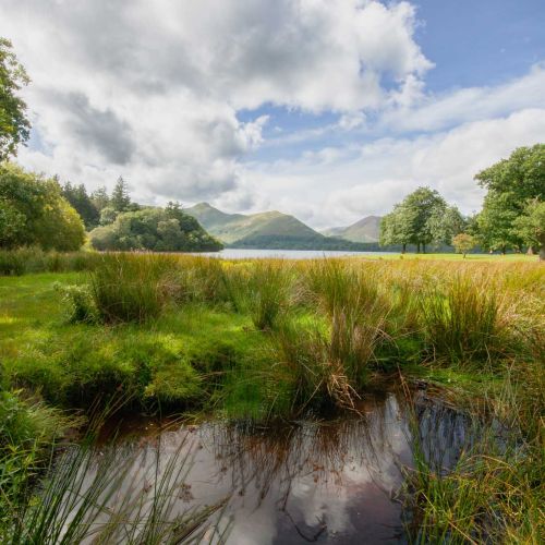 The Grassland, Lake Derwentwater, Lake District