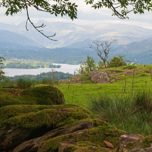 Lake Windermere Trail, Lake District