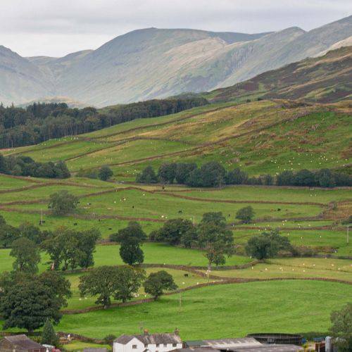 Lake Windermere Trail, Lake District