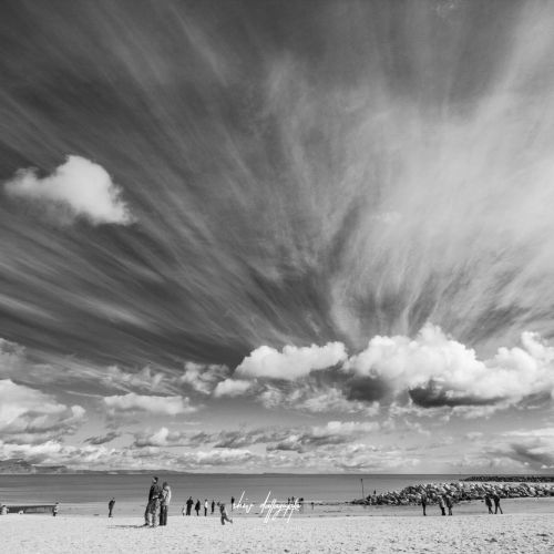 Nature’s Canvas, Weymouth