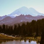 IMG_8651_washinton_slider_1.jpg
